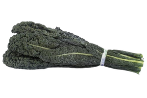 Untitled design (95)